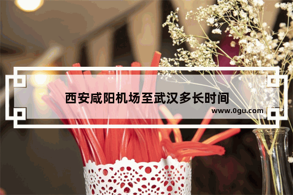 西安咸阳机场至武汉多长时间