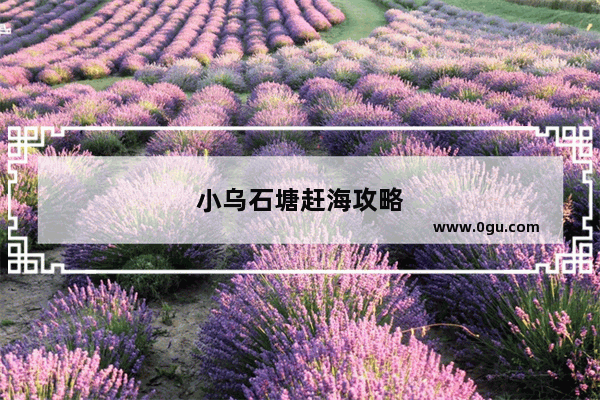 小乌石塘赶海攻略