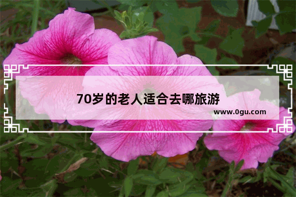 70岁的老人适合去哪旅游