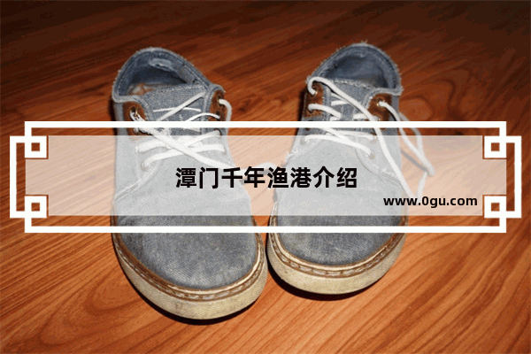 潭门千年渔港介绍