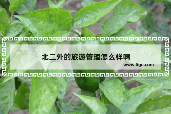 北二外的旅游管理怎么样啊