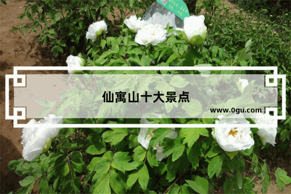 仙寓山十大景点