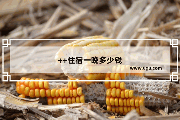 ++住宿一晚多少钱