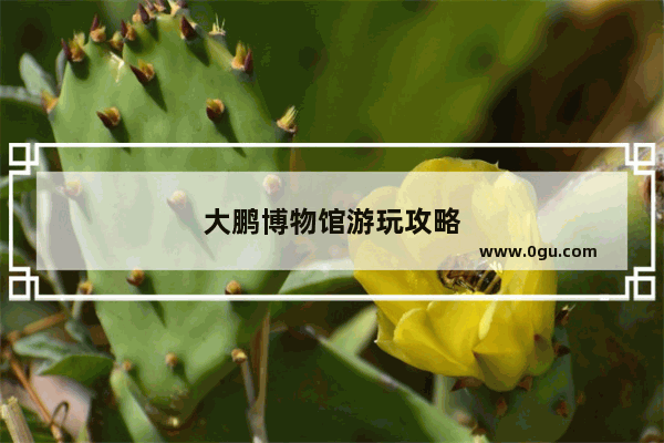 大鹏博物馆游玩攻略