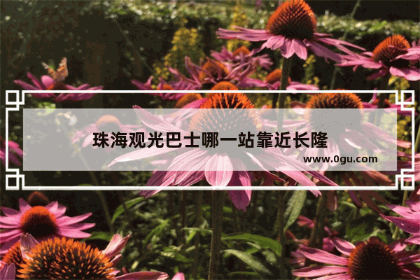 珠海观光巴士哪一站靠近长隆