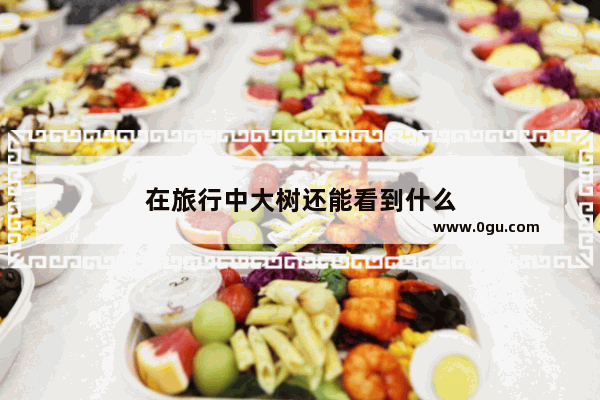 在旅行中大树还能看到什么
