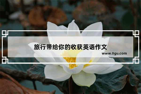 旅行带给你的收获英语作文