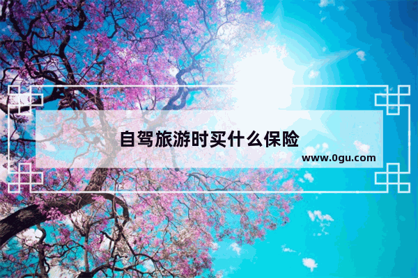 自驾旅游时买什么保险
