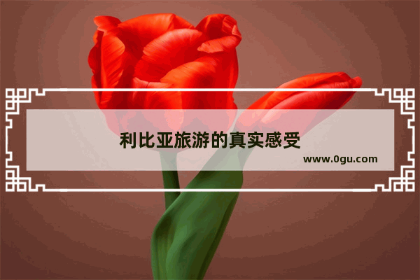 利比亚旅游的真实感受