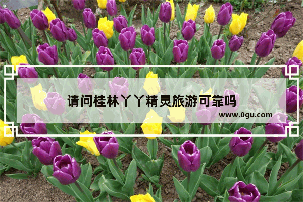请问桂林丫丫精灵旅游可靠吗