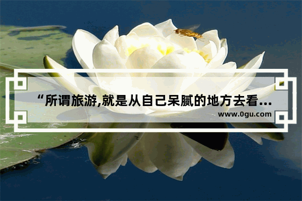 “所谓旅游,就是从自己呆腻的地方去看别人呆腻的地方”出自于哪里