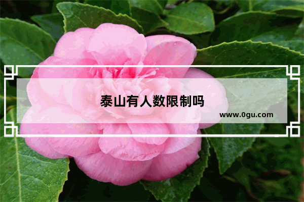 泰山有人数限制吗