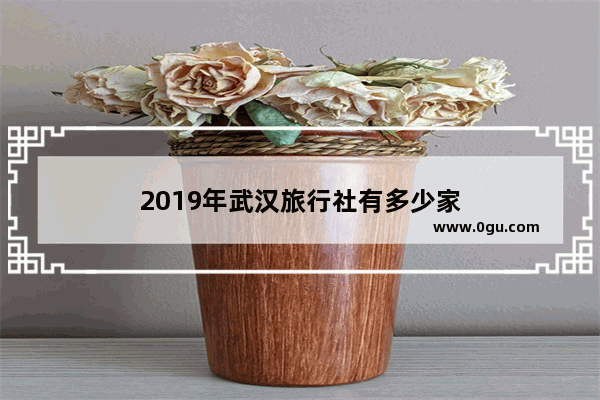 2019年武汉旅行社有多少家