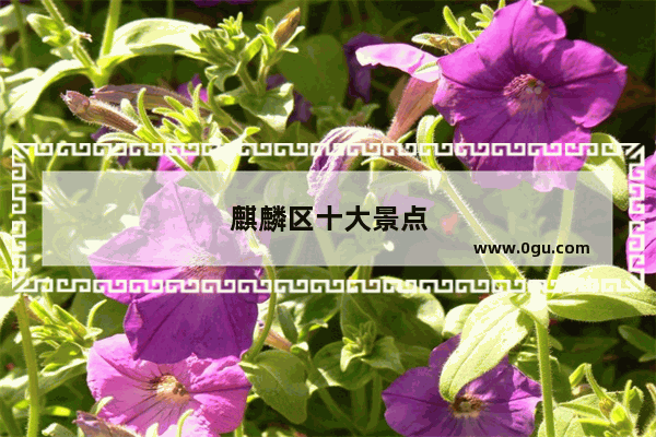 麒麟区十大景点