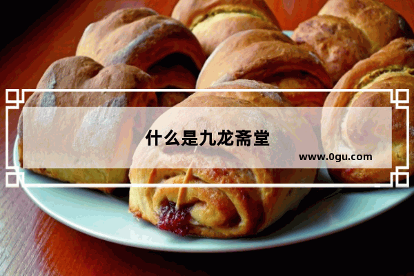 什么是九龙斋堂