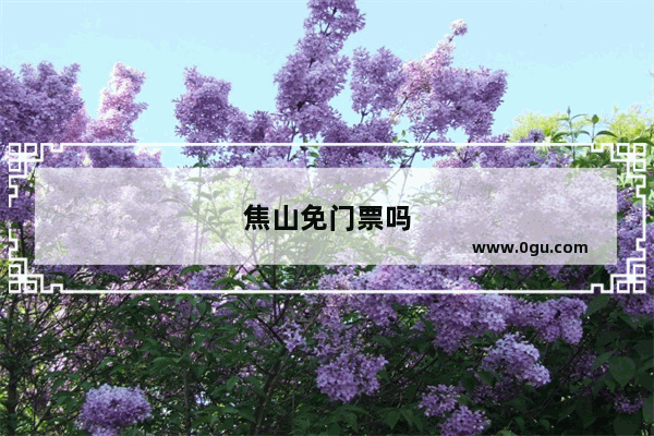 焦山免门票吗
