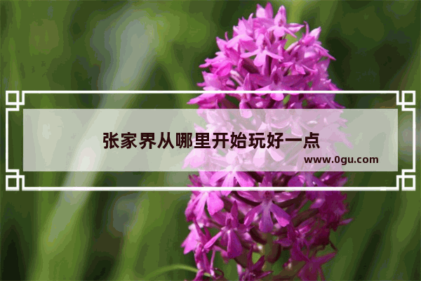 张家界从哪里开始玩好一点