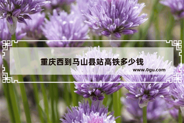 重庆西到马山县站高铁多少钱