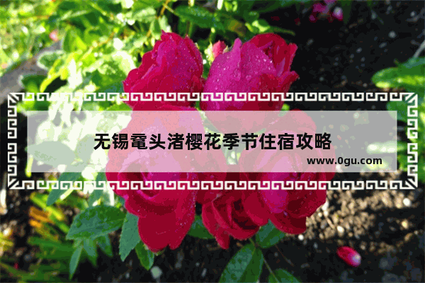 无锡鼋头渚樱花季节住宿攻略