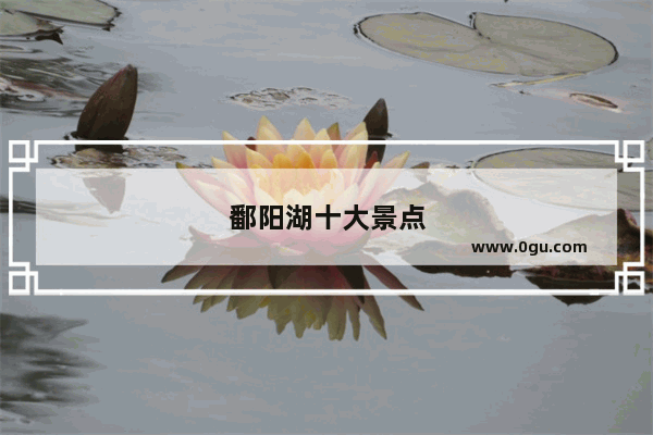 鄱阳湖十大景点