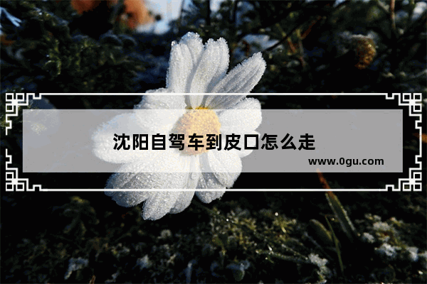 沈阳自驾车到皮口怎么走