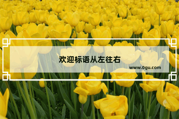 欢迎标语从左往右
