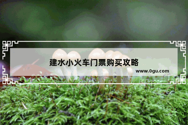 建水小火车门票购买攻略