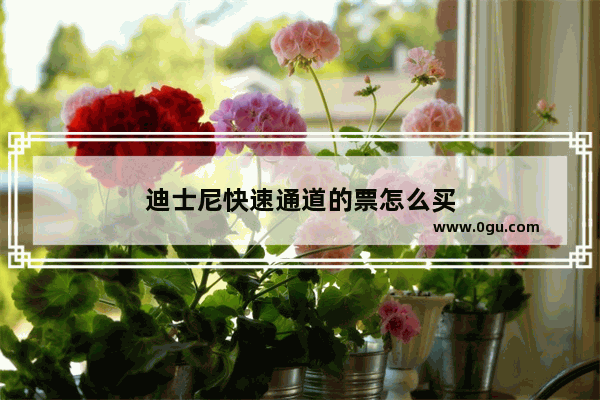 迪士尼快速通道的票怎么买