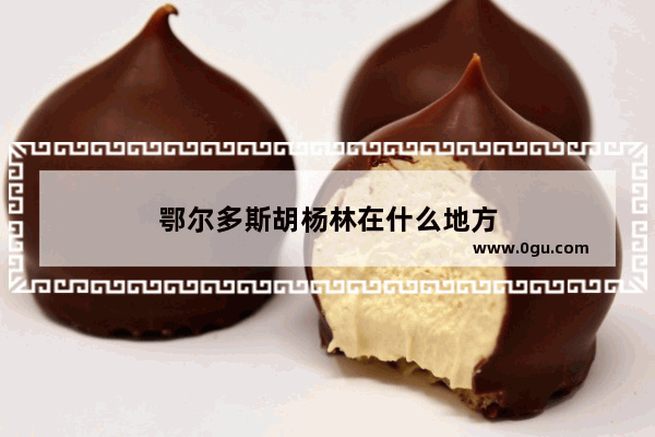 鄂尔多斯胡杨林在什么地方