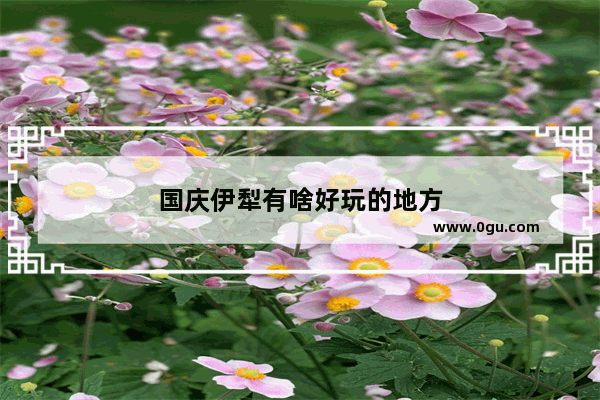 国庆伊犁有啥好玩的地方