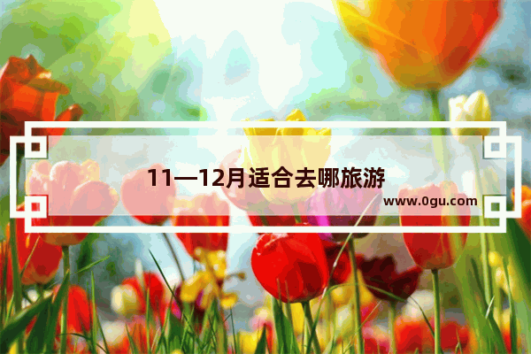11—12月适合去哪旅游