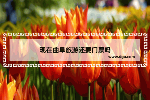 现在曲阜旅游还要门票吗