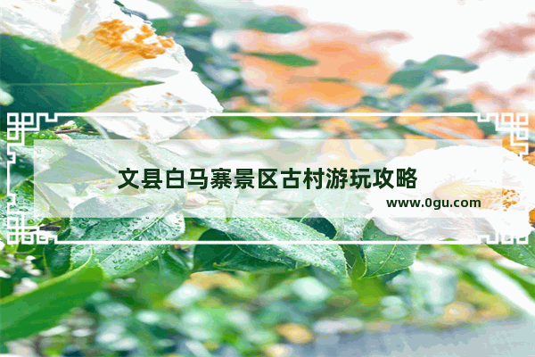 文县白马寨景区古村游玩攻略