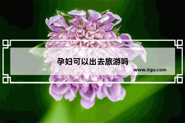 孕妇可以出去旅游吗