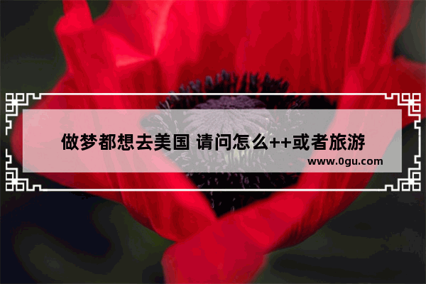 做梦都想去美国 请问怎么++或者旅游