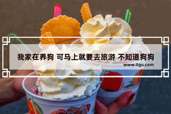 我家在养狗 可马上就要去旅游 不知道狗狗在家怎么办 帮帮忙