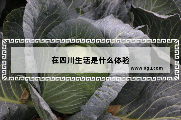 在四川生活是什么体验