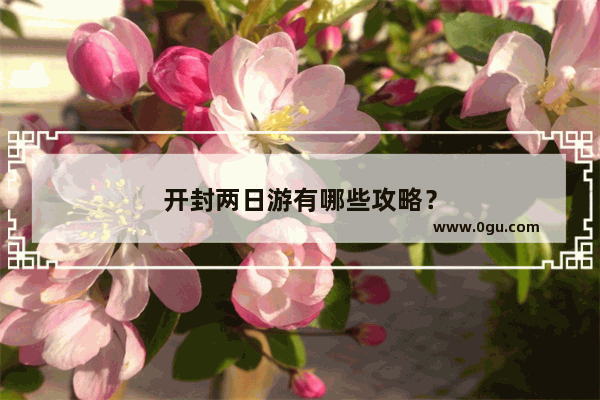 开封两日游有哪些攻略？