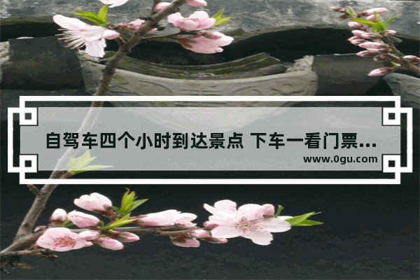 自驾车四个小时到达景点 下车一看门票涨到380一张 你会买票进去吗