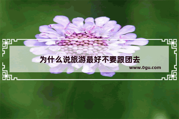 为什么说旅游最好不要跟团去
