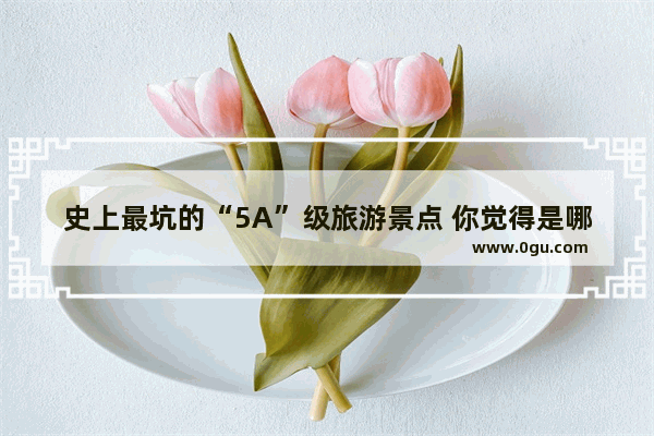 史上最坑的“5A”级旅游景点 你觉得是哪