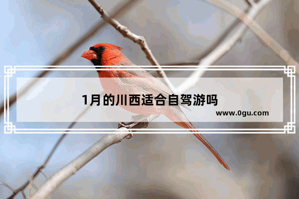 1月的川西适合自驾游吗