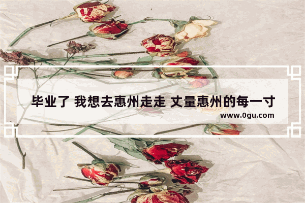 毕业了 我想去惠州走走 丈量惠州的每一寸土地 求详细攻略