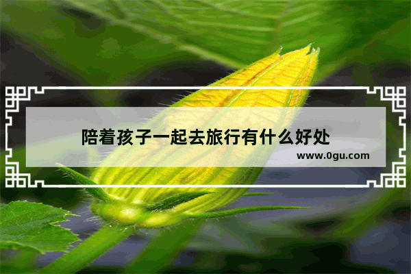 陪着孩子一起去旅行有什么好处