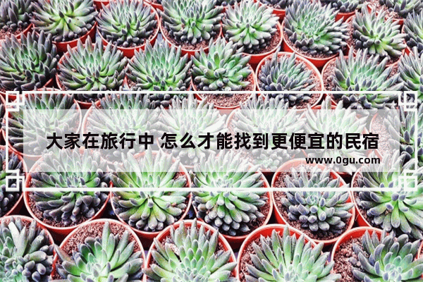 大家在旅行中 怎么才能找到更便宜的民宿