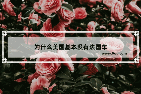 为什么美国基本没有法国车