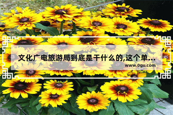 文化广电旅游局到底是干什么的,这个单位好不好