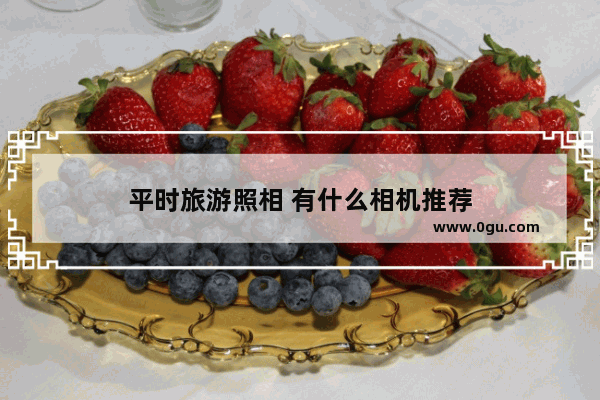 平时旅游照相 有什么相机推荐