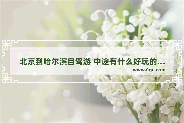 北京到哈尔滨自驾游 中途有什么好玩的地方