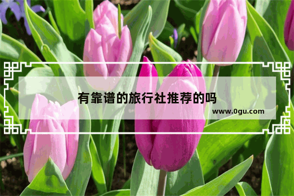 有靠谱的旅行社推荐的吗